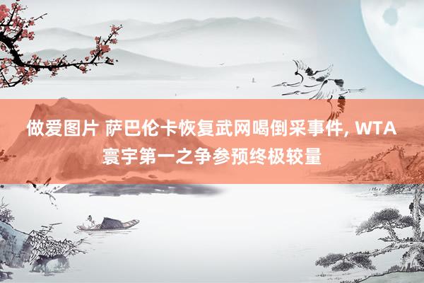 做爱图片 萨巴伦卡恢复武网喝倒采事件， WTA寰宇第一之争参预终极较量